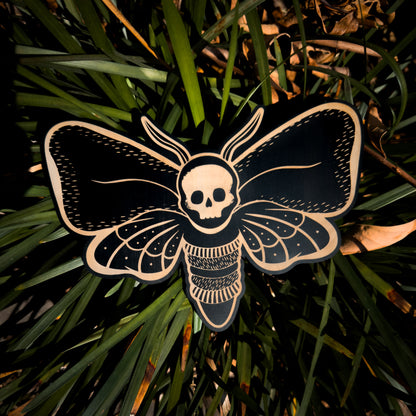 Death Head Woodcut Moth