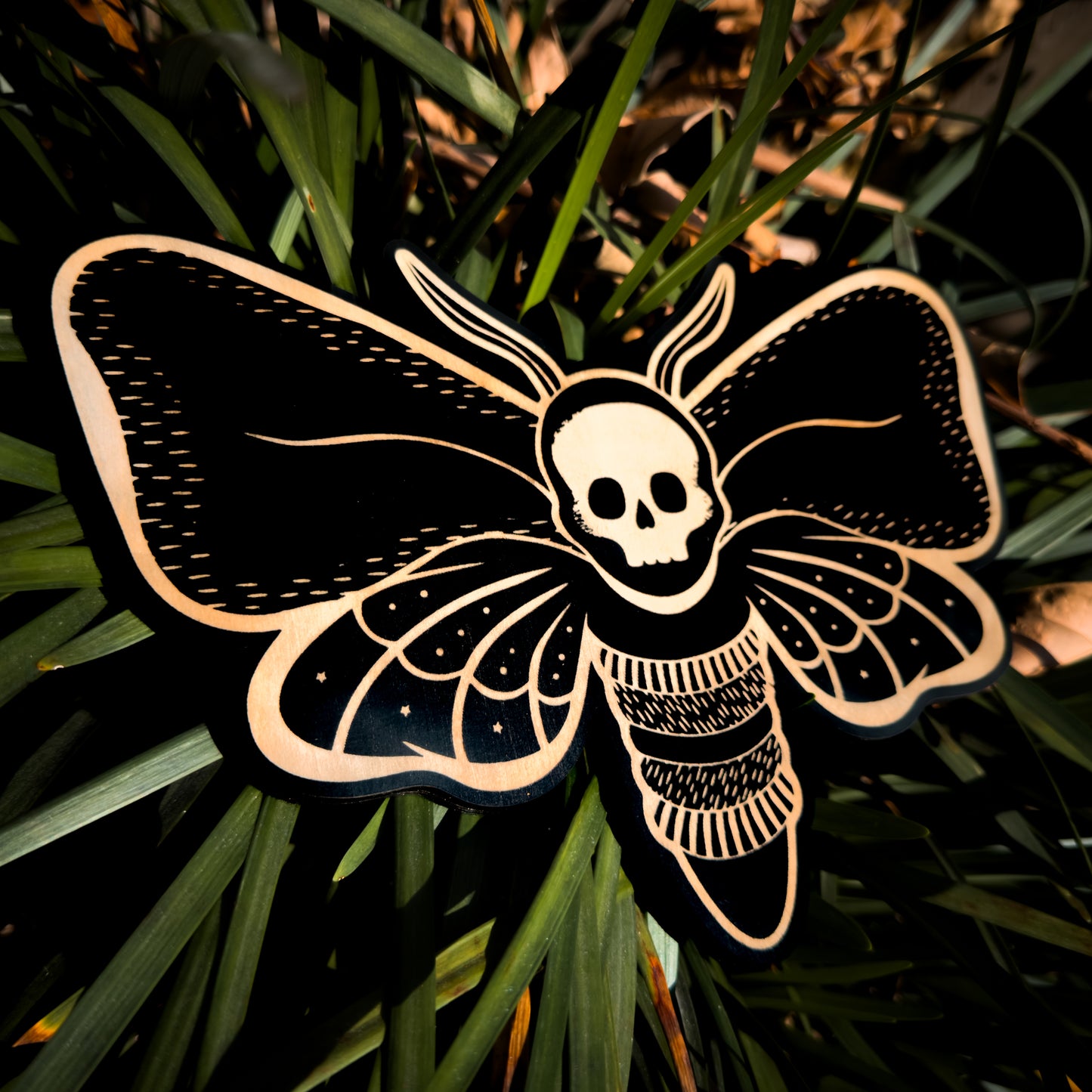 Death Head Woodcut Moth